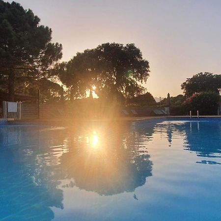 Fiori Di Cala Rossa Appartement T3 Dans Residence Hotelliere Chez Virginie ليسي المظهر الخارجي الصورة