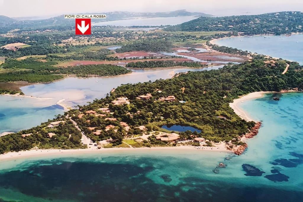 Fiori Di Cala Rossa Appartement T3 Dans Residence Hotelliere Chez Virginie ليسي المظهر الخارجي الصورة