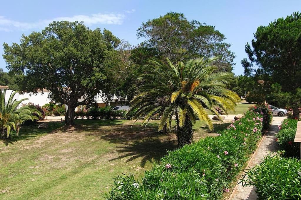 Fiori Di Cala Rossa Appartement T3 Dans Residence Hotelliere Chez Virginie ليسي المظهر الخارجي الصورة
